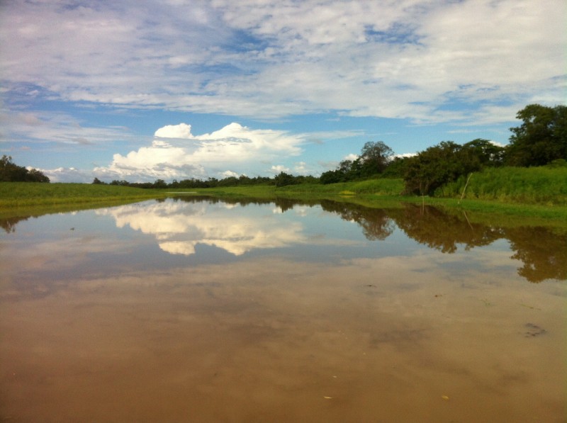 Canal do Jarí