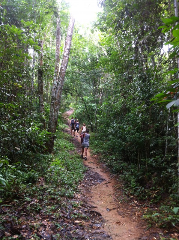 MAGUARY (FLONA do Tapajós)