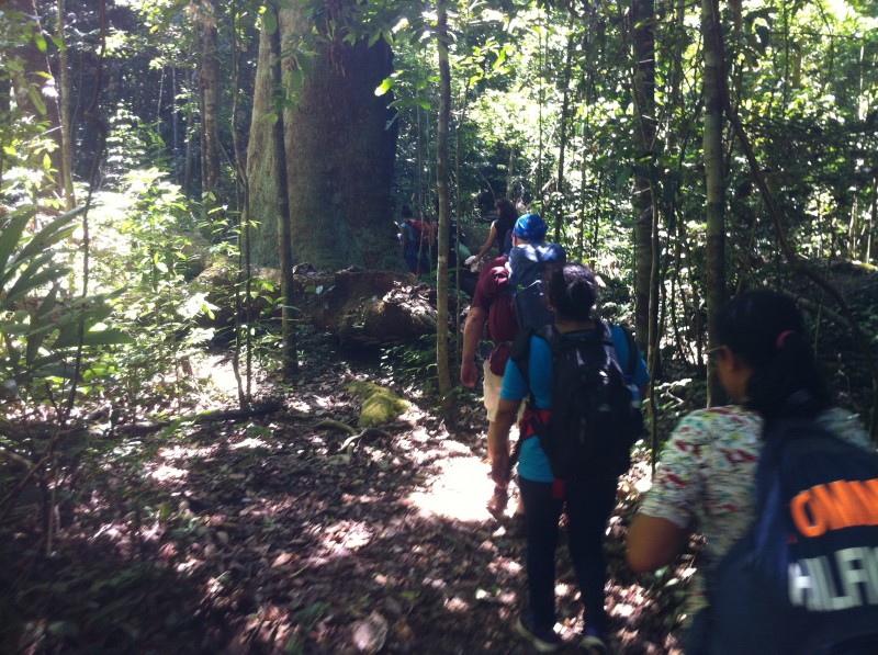 EXPEDIÇÃO NA SELVA