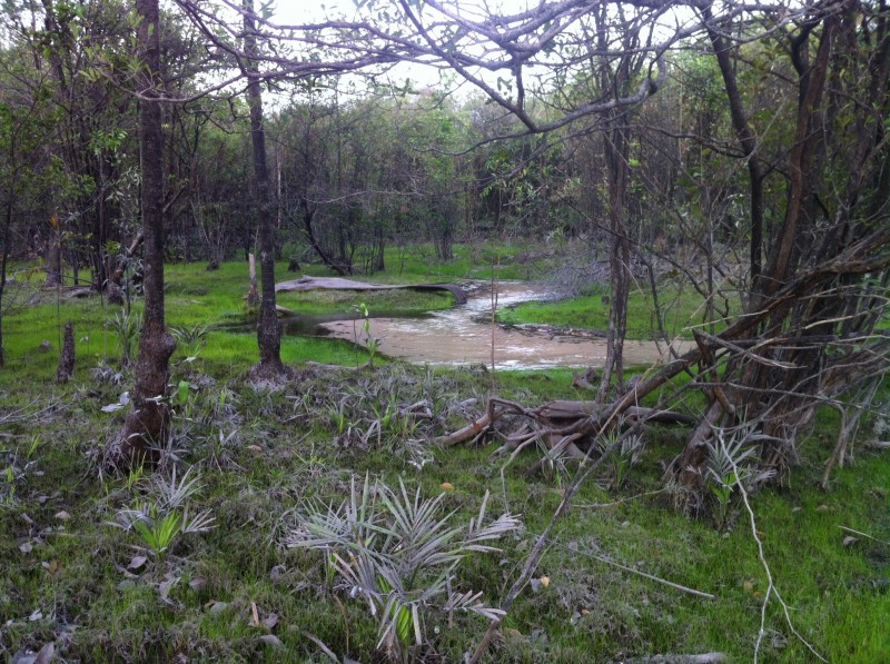 EXPEDIÇÃO NA SELVA